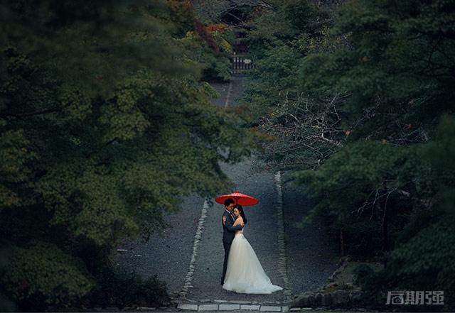 △ 光圈:f/3.2,速度:1/500s,焦距:200mm,ISO:250