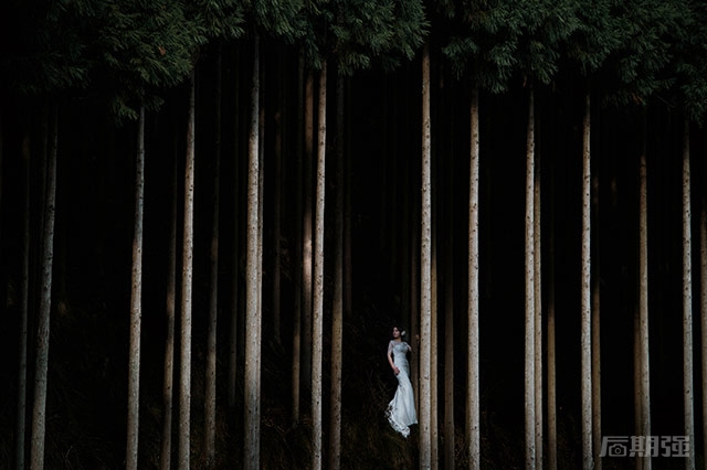 △ 光圈:f/4,速度:1/800s,焦距:140mm,ISO:200