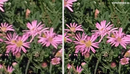 画质增强神器!模糊卡顿视频一秒变4.png 画质增强神器!模糊卡顿视频一秒变4.png