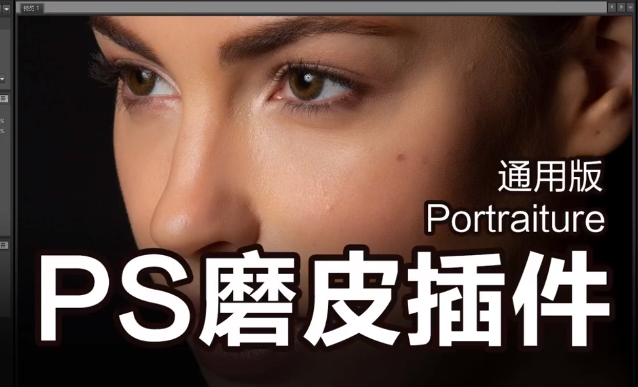 磨皮Portraiture 2.0滤镜Win版.png 磨皮Portraiture 2.0滤镜Win版.png