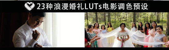 23种浪漫唯美婚礼 LUTs 电影调色预设.png