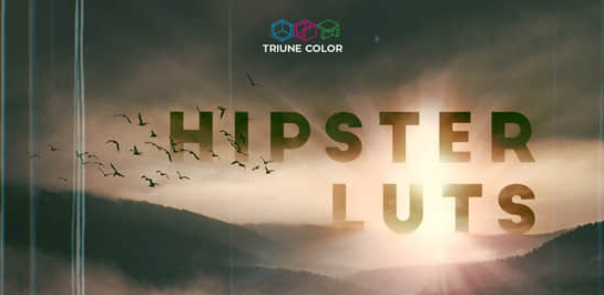 35组时髦文艺青年电影LUTS调色预设 Hipster LUTs.png 35组时髦文艺青年电影LUTS调色预设 Hipster LUTs.png