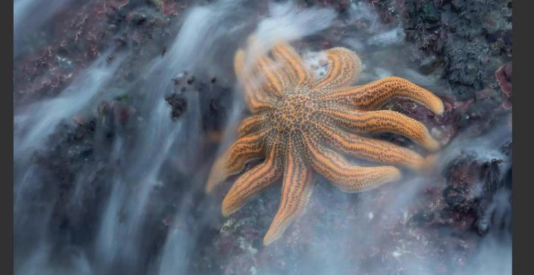 【摄影后期】摄影师Eric Bennet“以减法求加”风光摄影的艺术-中英字幕.png