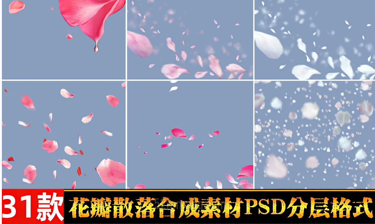 微信图片_20260624123046_463_66.png